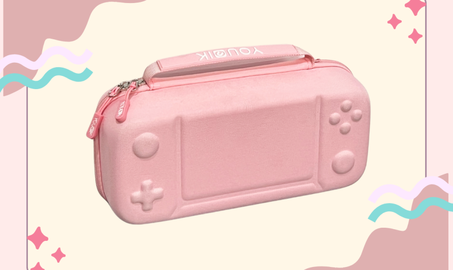 What Problems Can a Carrying Case Solve When Traveling with Your Nintendo Switch?